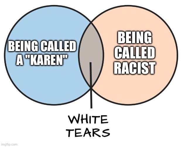 Karens | BEING CALLED RACIST; BEING CALLED A "KAREN" | image tagged in white tears,karens,racist,racism,karen | made w/ Imgflip meme maker