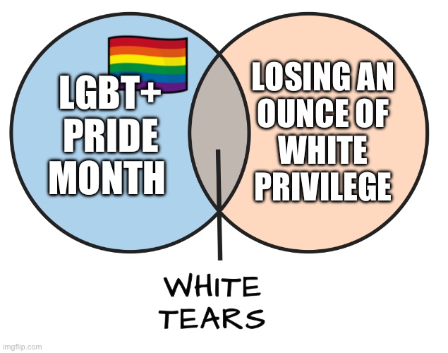 when other people having rights feels like a microagression to straight white guys | LOSING AN
OUNCE OF
WHITE
PRIVILEGE; LGBT+
PRIDE
MONTH | image tagged in white tears,pride month,white privilege,straight white men,lgbtq,lgbt | made w/ Imgflip meme maker