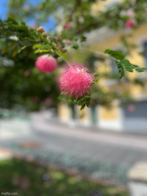 Rate the photo | image tagged in rate the photo | made w/ Imgflip meme maker