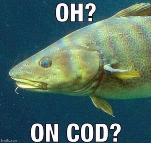 on cod? | image tagged in on cod | made w/ Imgflip meme maker