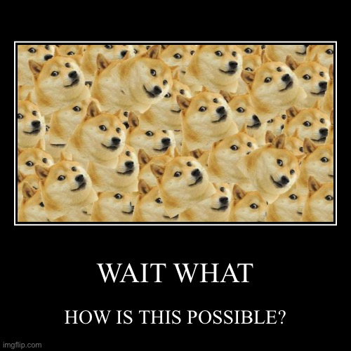 WAIT WHAT | HOW IS THIS POSSIBLE? | image tagged in funny,demotivationals | made w/ Imgflip demotivational maker