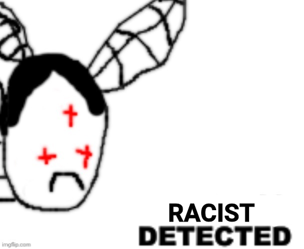 BLANK DETECTED | RACIST | image tagged in blank detected | made w/ Imgflip meme maker