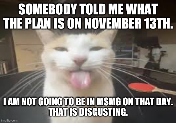Cat | SOMEBODY TOLD ME WHAT THE PLAN IS ON NOVEMBER 13TH. I AM NOT GOING TO BE IN MSMG ON THAT DAY.
THAT IS DISGUSTING. | image tagged in cat | made w/ Imgflip meme maker