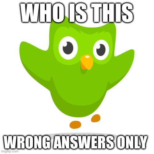 things duolingo teaches you | WHO IS THIS; WRONG ANSWERS ONLY | image tagged in things duolingo teaches you | made w/ Imgflip meme maker
