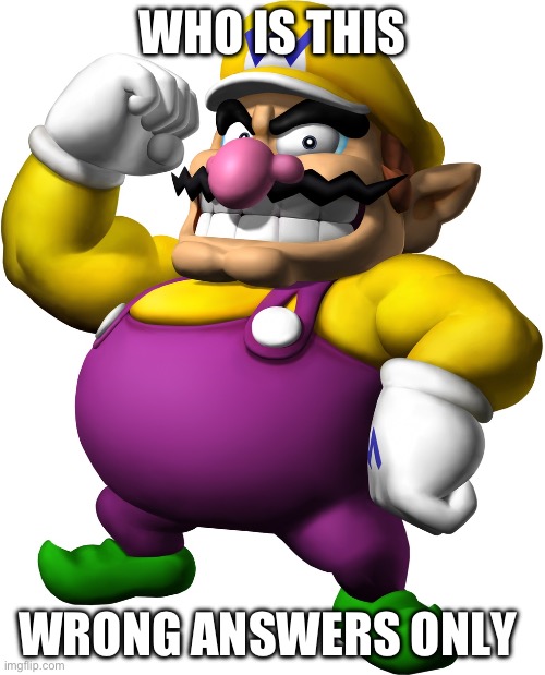 Wario | WHO IS THIS; WRONG ANSWERS ONLY | image tagged in wario | made w/ Imgflip meme maker