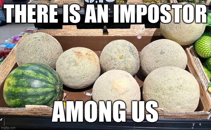 impostor | THERE IS AN IMPOSTOR; AMONG US | image tagged in impostor,among us | made w/ Imgflip meme maker