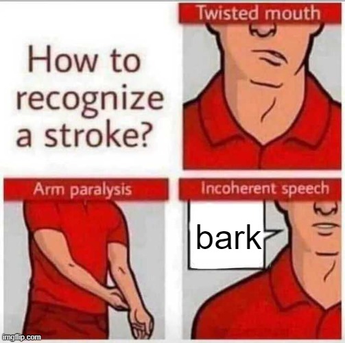 How to recognize a stroke | bark | image tagged in how to recognize a stroke | made w/ Imgflip meme maker