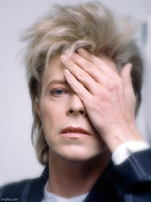 Bowie damn it | image tagged in bowie damn it | made w/ Imgflip meme maker
