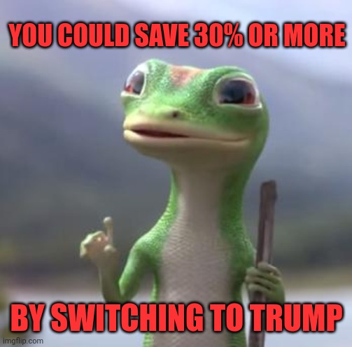 Bidenomics Disaster | YOU COULD SAVE 30% OR MORE; BY SWITCHING TO TRUMP | image tagged in geico gecko | made w/ Imgflip meme maker