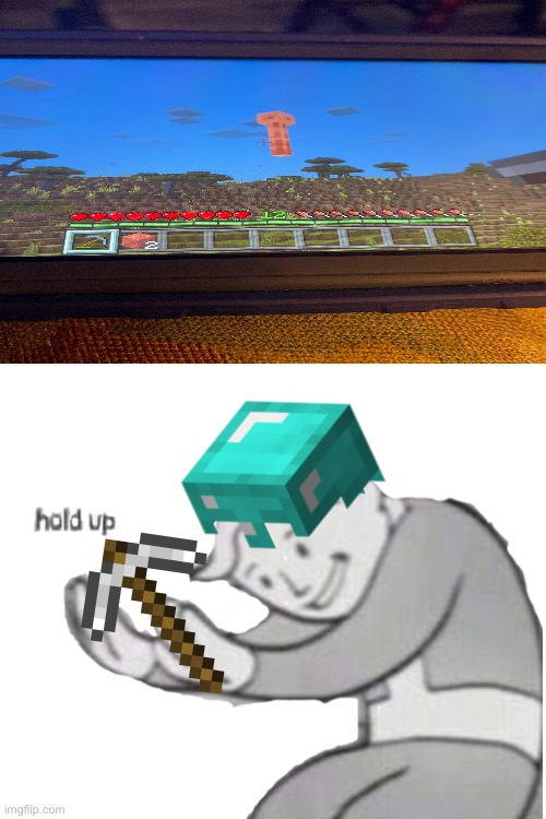 Cursed Minecraft moments part one | image tagged in minecraft,fallout hold up | made w/ Imgflip meme maker