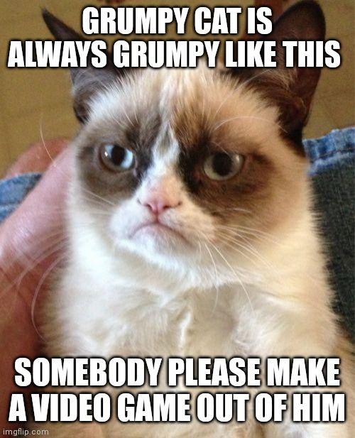 Will people actually do this. It would be next level meme worthy | GRUMPY CAT IS ALWAYS GRUMPY LIKE THIS; SOMEBODY PLEASE MAKE A VIDEO GAME OUT OF HIM | image tagged in grumpy cat,grumpy cat is back again,grumpy cat is always so grumpy,grumpy cat video game needs to be made | made w/ Imgflip meme maker