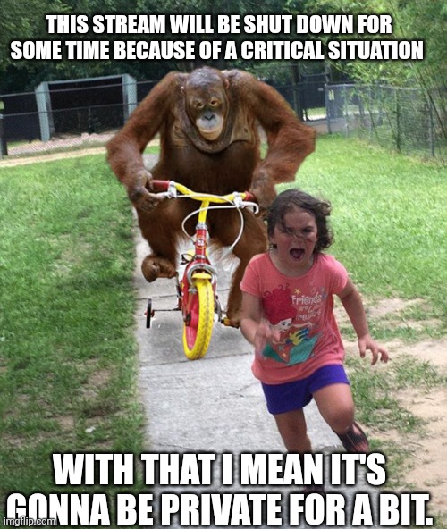 Sorry | THIS STREAM WILL BE SHUT DOWN FOR SOME TIME BECAUSE OF A CRITICAL SITUATION; WITH THAT I MEAN IT'S GONNA BE PRIVATE FOR A BIT. | image tagged in orangutan chasing girl on a tricycle | made w/ Imgflip meme maker