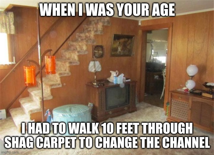 Hard Life in the 1970s | WHEN I WAS YOUR AGE; I HAD TO WALK 10 FEET THROUGH SHAG CARPET TO CHANGE THE CHANNEL | image tagged in shag carpet | made w/ Imgflip meme maker