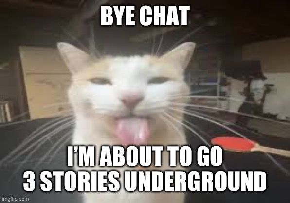 Cat | BYE CHAT; I’M ABOUT TO GO 3 STORIES UNDERGROUND | image tagged in cat | made w/ Imgflip meme maker