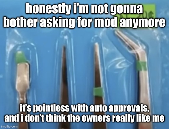 t-weezer | honestly i’m not gonna bother asking for mod anymore; it’s pointless with auto approvals, and i don’t think the owners really like me | image tagged in t-weezer | made w/ Imgflip meme maker