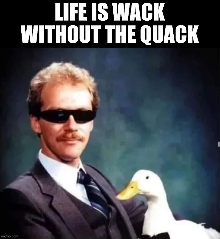 LIFE IS WACK
WITHOUT THE QUACK | image tagged in ducks | made w/ Imgflip meme maker