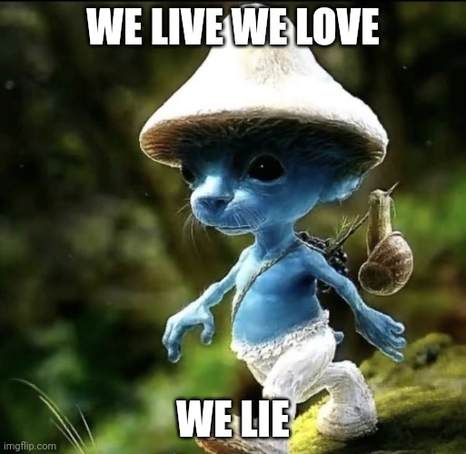 Blue Smurf cat | WE LIVE WE LOVE; WE LIE | image tagged in blue smurf cat | made w/ Imgflip meme maker