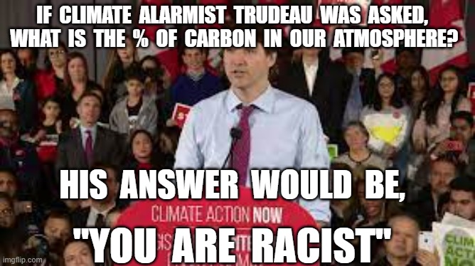 IF  CLIMATE  ALARMIST  TRUDEAU  WAS  ASKED,  WHAT  IS  THE  %  OF  CARBON  IN  OUR  ATMOSPHERE? HIS  ANSWER  WOULD  BE, "YOU  ARE  RACIST" | image tagged in justin trudeau,climate change,racist,climate alarmist,carbon footprint,carbon tax | made w/ Imgflip meme maker