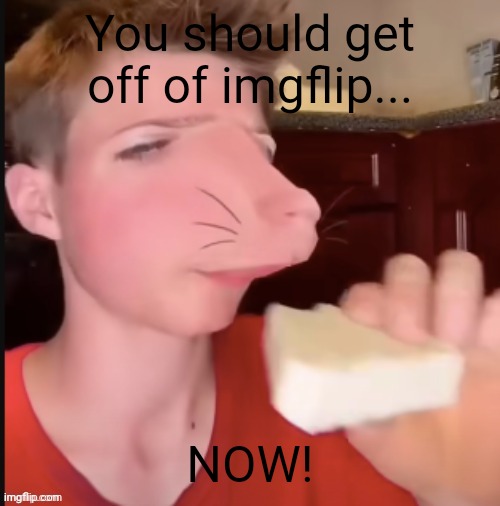 Speed Mcqueen | You should get off of imgflip... NOW! | image tagged in speed mcqueen | made w/ Imgflip meme maker
