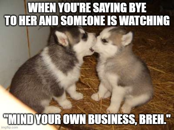 image #2 | WHEN YOU'RE SAYING BYE TO HER AND SOMEONE IS WATCHING; "MIND YOUR OWN BUSINESS, BREH." | image tagged in memes,cute puppies | made w/ Imgflip meme maker