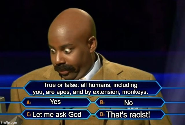 A double stab at Creationists and political correctness (coming from a black man) | True or false: all humans, including you, are apes, and by extension, monkeys. Yes; No; That's racist! Let me ask God | image tagged in who wants to be a millionaire | made w/ Imgflip meme maker