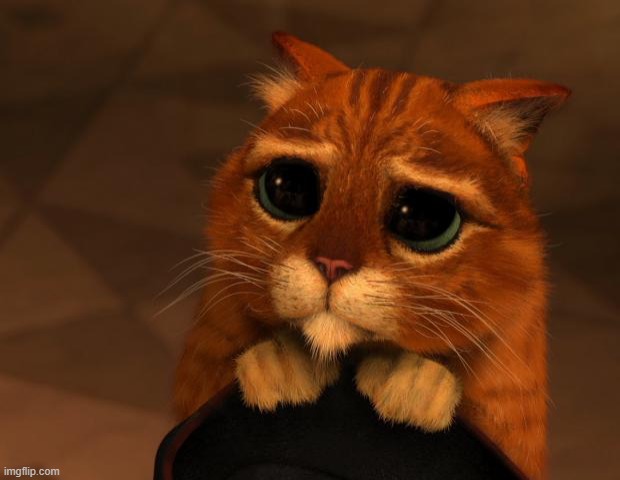 puss in boots eyes | image tagged in puss in boots eyes | made w/ Imgflip meme maker