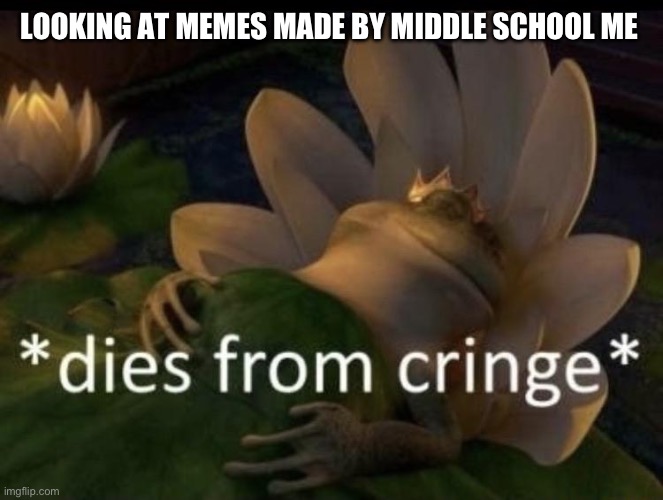 Fond memories but just delete it | LOOKING AT MEMES MADE BY MIDDLE SCHOOL ME | image tagged in dies from cringe | made w/ Imgflip meme maker