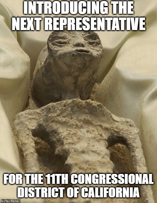 They'll Vote for Anyone | INTRODUCING THE NEXT REPRESENTATIVE; FOR THE 11TH CONGRESSIONAL DISTRICT OF CALIFORNIA | image tagged in mexican alien | made w/ Imgflip meme maker