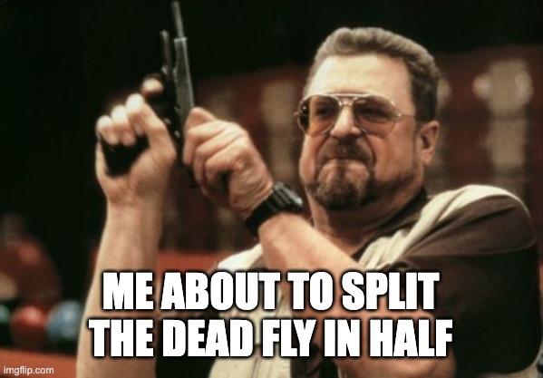 Am I The Only One Around Here Meme | ME ABOUT TO SPLIT THE DEAD FLY IN HALF | image tagged in memes,am i the only one around here | made w/ Imgflip meme maker