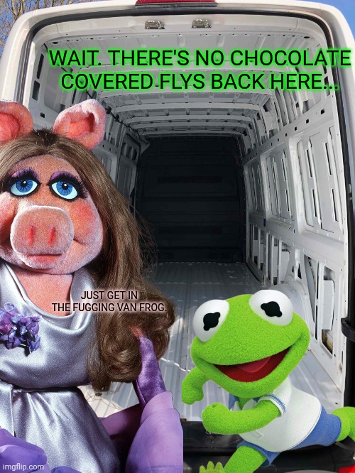Evil Kermit lore | JUST GET IN THE FUGGING VAN FROG. WAIT. THERE'S NO CHOCOLATE COVERED FLYS BACK HERE... | image tagged in inside white van,kidnapping,evil,kermit | made w/ Imgflip meme maker