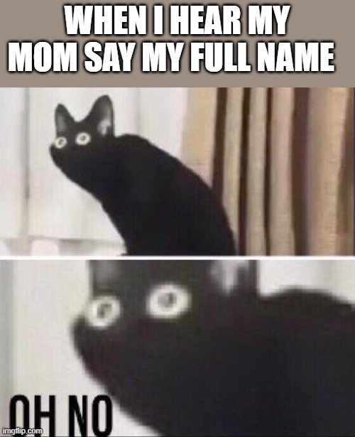 scariest moment of the life be like: | WHEN I HEAR MY MOM SAY MY FULL NAME | image tagged in oh no cat | made w/ Imgflip meme maker