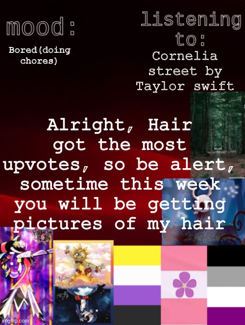 I’ll take one picture with my hair down, and one in a ponytail | Bored(doing chores); Cornelia street by Taylor swift; Alright, Hair got the most upvotes, so be alert, sometime this week you will be getting pictures of my hair | image tagged in arden_the_ace 's temp | made w/ Imgflip meme maker