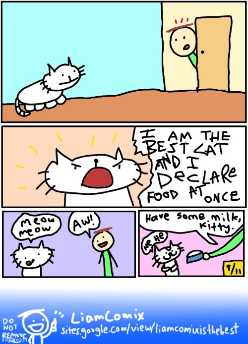 stray cats | image tagged in liamcomix,comics/cartoons | made w/ Imgflip meme maker