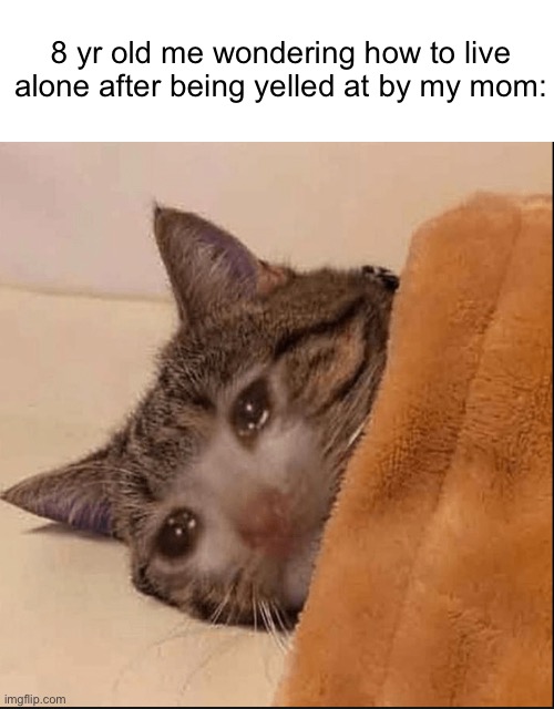 Maybe.. out the front door? | 8 yr old me wondering how to live alone after being yelled at by my mom: | image tagged in memes,cats | made w/ Imgflip meme maker
