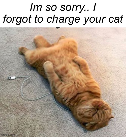 Plug it in! | Im so sorry.. I forgot to charge your cat | image tagged in memes,cats | made w/ Imgflip meme maker