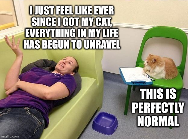 Particularly my curtains, sweaters and toilet paper | I JUST FEEL LIKE EVER
SINCE I GOT MY CAT,
EVERYTHING IN MY LIFE
HAS BEGUN TO UNRAVEL; THIS IS PERFECTLY NORMAL | image tagged in cat psychologist | made w/ Imgflip meme maker