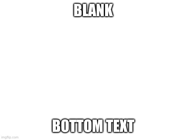 BLANK; BOTTOM TEXT | image tagged in memes | made w/ Imgflip meme maker