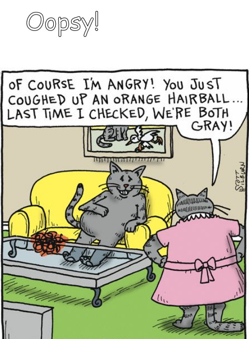 the dangers of hacking up a hairball | Oopsy! | image tagged in memes,comics,cats | made w/ Imgflip meme maker