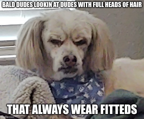 Mean muggin | BALD DUDES LOOKIN AT DUDES WITH FULL HEADS OF HAIR; THAT ALWAYS WEAR FITTEDS | image tagged in mean muggin,dankmemes | made w/ Imgflip meme maker