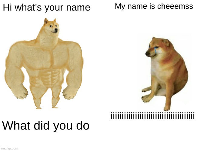 Buff Doge annnn ddd cheems | Hi what's your name; My name is cheeemss; iiiiiiiiiiiiiiiiiiiiiiiiiiiiiiiiiiiiii; What did you do | image tagged in memes,buff doge vs cheems | made w/ Imgflip meme maker
