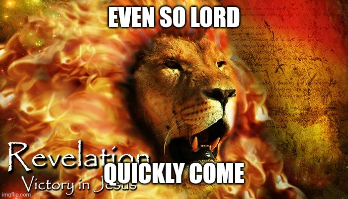 Lion of Judah | EVEN SO LORD; QUICKLY COME | image tagged in lion of judah | made w/ Imgflip meme maker