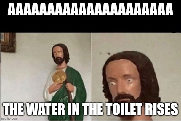 When you flush the toilet and the water starts rising | AAAAAAAAAAAAAAAAAAAAA; THE WATER IN THE TOILET RISES | image tagged in when you flush the toilet and the water starts rising | made w/ Imgflip meme maker