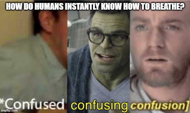confused confusing confusion | HOW DO HUMANS INSTANTLY KNOW HOW TO BREATHE? | image tagged in confused confusing confusion | made w/ Imgflip meme maker