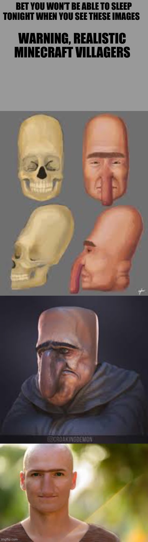 Tell me what villager image should be in the next, Minecraft in real life! | BET YOU WON’T BE ABLE TO SLEEP TONIGHT WHEN YOU SEE THESE IMAGES; WARNING, REALISTIC MINECRAFT VILLAGERS | image tagged in minecraft,villagers | made w/ Imgflip meme maker