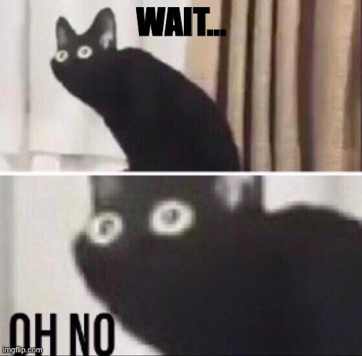 Oh no cat | WAIT… | image tagged in oh no cat | made w/ Imgflip meme maker