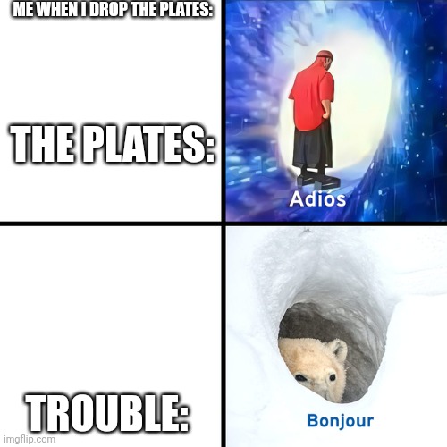 Adios Bonjour | ME WHEN I DROP THE PLATES:; THE PLATES:; TROUBLE: | image tagged in adios bonjour | made w/ Imgflip meme maker