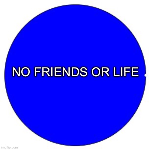 100% Pie Chart | NO FRIENDS OR LIFE | image tagged in 100 pie chart | made w/ Imgflip meme maker