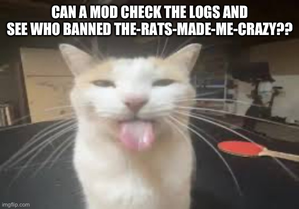 Cat | CAN A MOD CHECK THE LOGS AND SEE WHO BANNED THE-RATS-MADE-ME-CRAZY?? | image tagged in cat | made w/ Imgflip meme maker