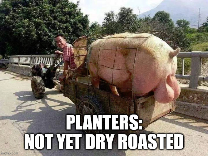 PLANTERS:
NOT YET DRY ROASTED | image tagged in aw nuts | made w/ Imgflip meme maker