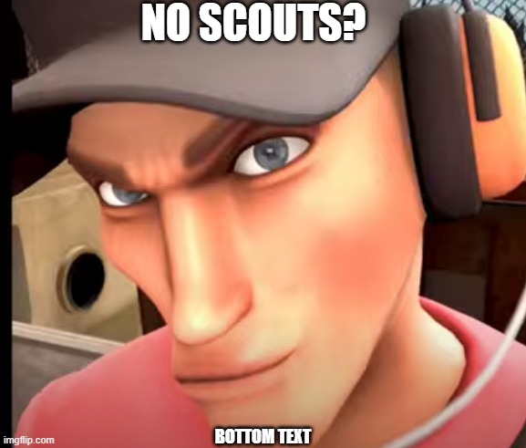 No Scouts? | NO SCOUTS? BOTTOM TEXT | image tagged in no scouts | made w/ Imgflip meme maker